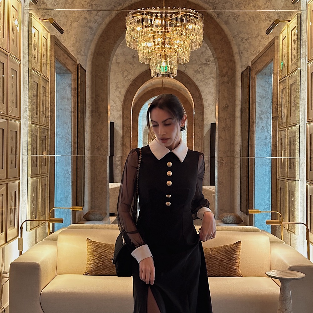 Black Sheath Dress with Bishop Sleeves and Peter Pan Collar - Picture 3 of 6